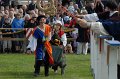 ADSC_6598 (331)